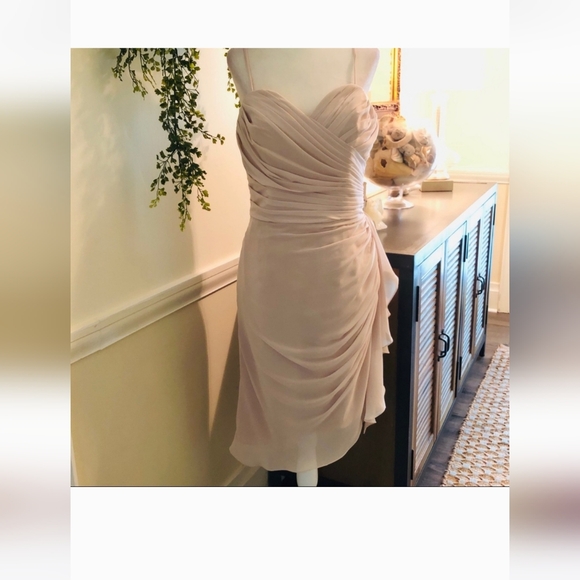 (JUST LISTED) NWT! GORGEOUS WATTERS FRENCH VANILLA CRINKLE CHIFFON DRESS - Picture 6 of 11